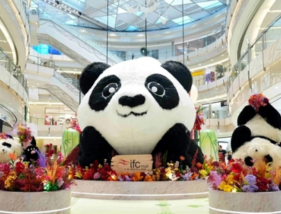 上海 ifc 商场中庭毛绒熊猫卡通雕塑花艺景观商业装置